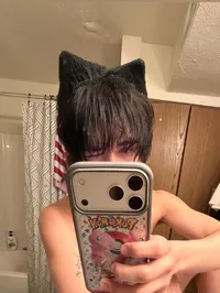 catbed1