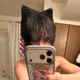 catbed1