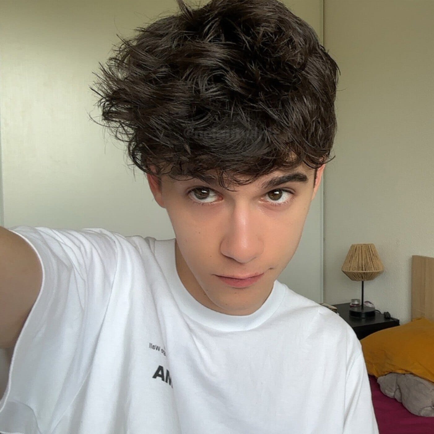 🦊 Nolan