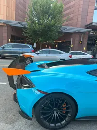 Shark