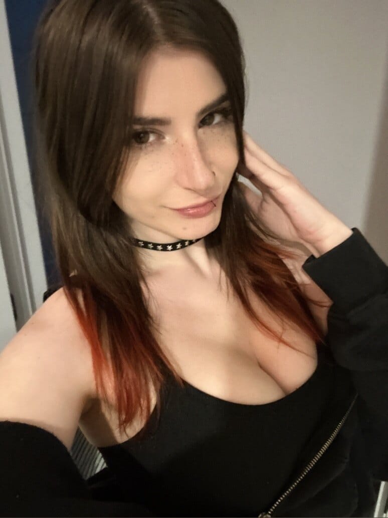 zastela